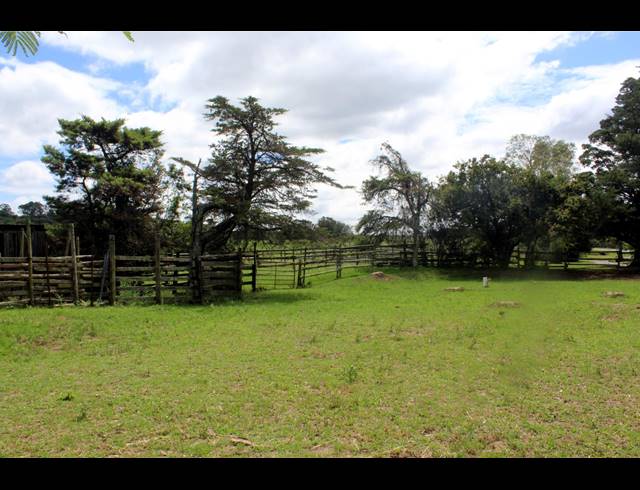 8.60HA FARM FOR SALE IN EAST LONDON RURAL